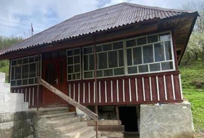 Casă cu 2 camere cu Teren 2267 Mp în Lupșa - 3