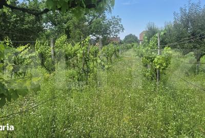 Teren de 5488 mp, în Păulești - 11