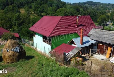Casă cu 5 camere cu Teren 1000 Mp în Valea Danului