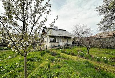 Casă cu Teren 2470 Mp în Mârțești - 19
