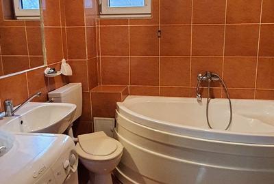 Apartament cu 2 camere semidecomandat în Dosu Bricii