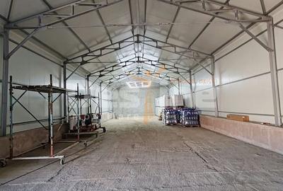 Proprietate specială, de 320 mp, în Industrială