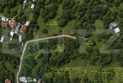 Teren de 1122 mp, în Râu Alb de Jos