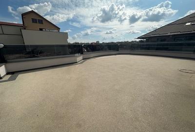 Casă individuală cu 12 camere cu Piscina în Cotroceni - 20