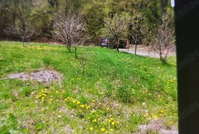 Teren de 800 mp, în Brădetu - 2