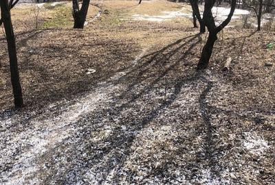 Teren de 2600 mp, în Jitia - 3