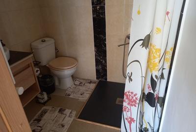 Casă cu 3 camere în Lunca Mare