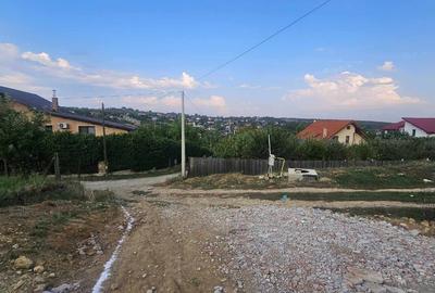 Teren Construcții intravilan de 1200 mp, în Bârnova - 1
