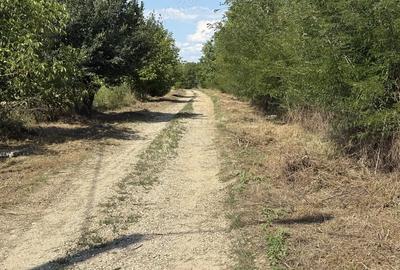Teren de 350 mp, în Central