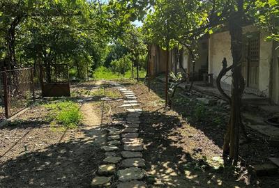 Casă cu 3 camere în Central