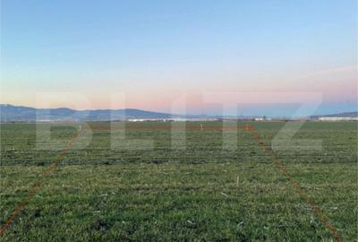 Teren de 5000 mp, în Central