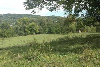 Teren de 14340 mp, în Provița de Jos