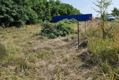 Teren de 550 mp, în Albota