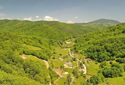 Teren Construcții extravilan de 16000 mp, în Poiana Mărului - 11