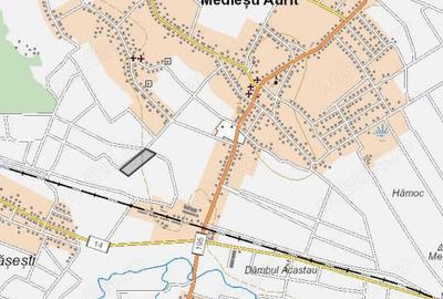 Teren de 40000 mp, în Medieșu Aurit - 2