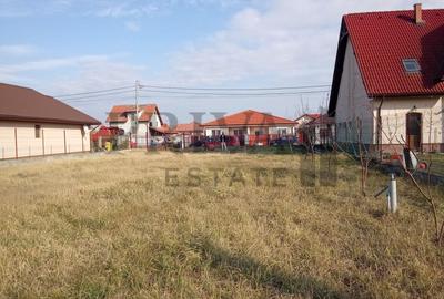 Teren Construcții intravilan de 738 mp, în Șag - 1