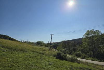 Teren Construcții intravilan de 5000 mp, în Boboci - 3