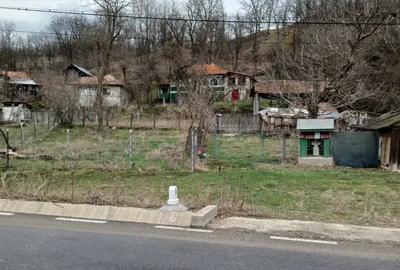 Casă cu 5 camere cu Teren 8000 Mp în Lacu - 2