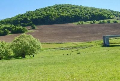 Teren de 16200 mp, în Sângeorgiu de Mureș