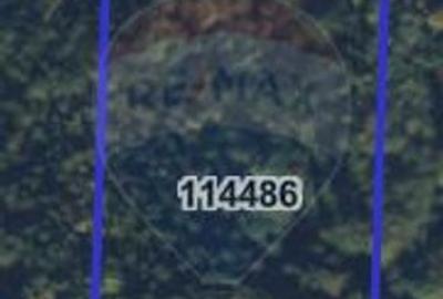 Teren agricol extravilan de 23000 mp, în Glăjărie - 7