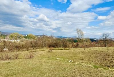 Teren Construcții intravilan de 8200 mp, în Câmpina - 10