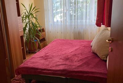 Apartament cu 2 camere în Seleuș