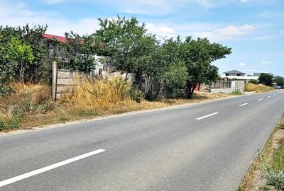 Teren Construcții intravilan de 3000 mp, în Vest - 4