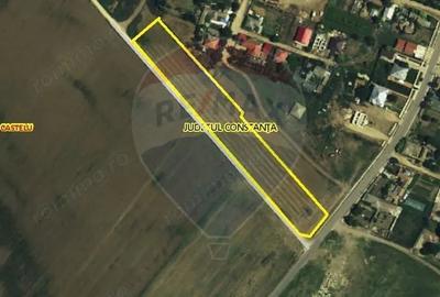 Teren de 8000 mp, în Castelu - 3