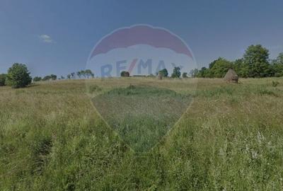 Teren agricol extravilan de 3110 mp, în Mănăstireni - 3