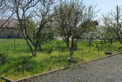 Casă cu 4 camere cu Teren 5800 Mp în Tăuții-Măgherăuș - 5