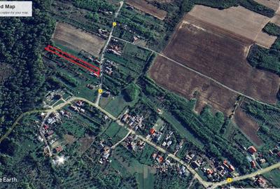 Teren Construcții intravilan de 3300 mp, în Țipărești - 1