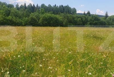 Teren de 10000 mp, în Șaru Dornei - 3