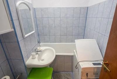 Garsonieră semidecomandată, mobilată în Costin Georgian - 4
