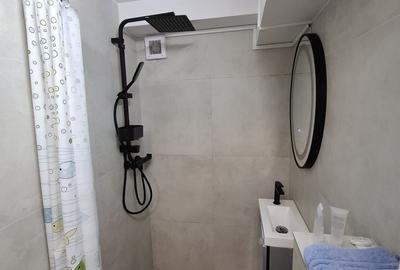 Apartament cu 1 camere semidecomandat, mobilat în P-ța Ovidiu - 12