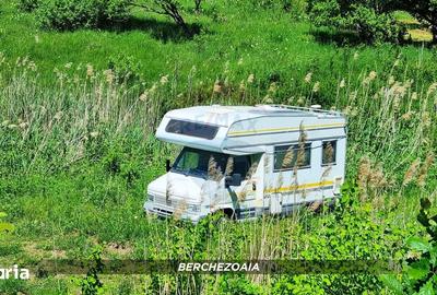 Teren de 5240 mp, în Copalnic - 4