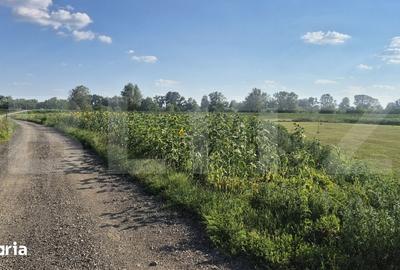 Teren de 3800 mp, în Titulescu