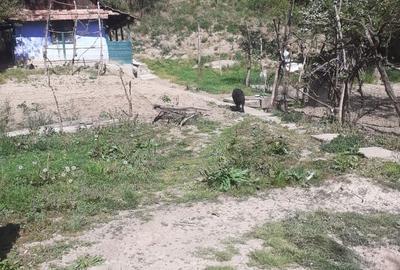 Casă cu Teren 400 Mp în Central
