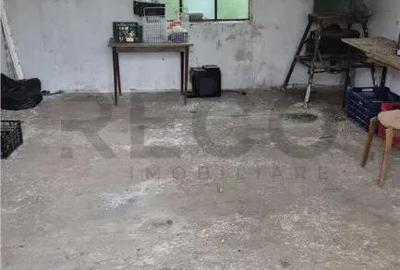 Casă cu 4 camere cu Teren 1993 Mp în Cheresig - 7