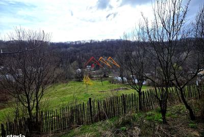 Casă cu 2 camere nedecomandat cu Canalizare în Telega - 4