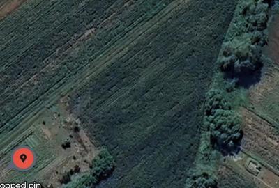 Teren de 1523 mp, în Vultureni - 5