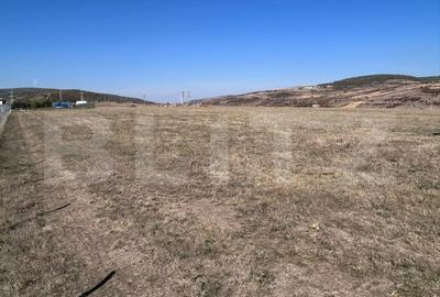 Teren Construcții intravilan de 869 mp, în Dâmbul Rotund