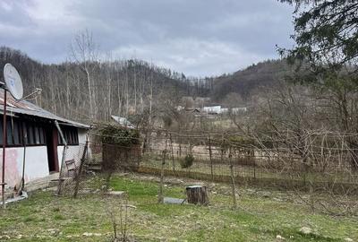 Casă cu 4 camere în Buda