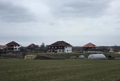 Teren de 10000 mp, în Bălteni - 10