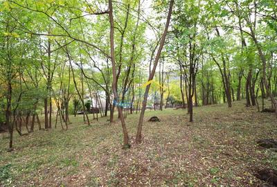 Casă cu 3 camere cu Teren 4930 Mp în Aluniș - 12