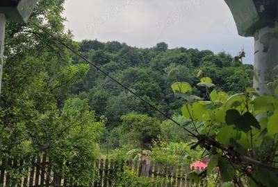 Teren de 800 mp, în Corbi