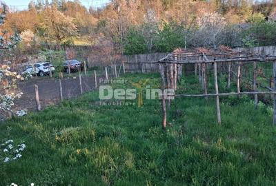 Casă cu 2 camere cu Teren 1150 Mp în Păușești - 5