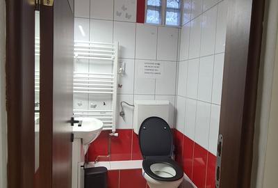 Spațiu comercial, în Lotrioara - 6