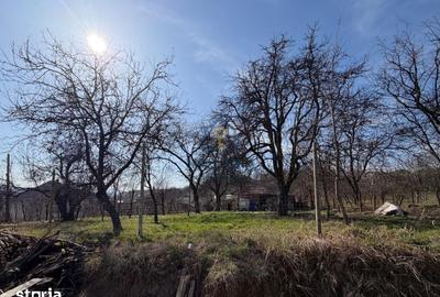 Teren de 2421 mp, în Mireșu Mare - 1