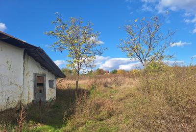 Teren agricol intravilan de 1000 mp, în Proselnici - 8