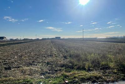 Teren agricol extravilan de 5000 mp, în Calea București - 2